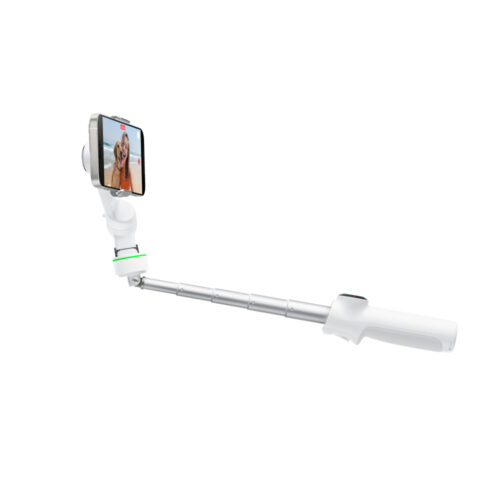 Insta360 FLOW 2 PRO (Standard)